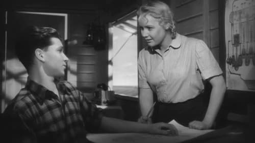 Степные зори Bild 1