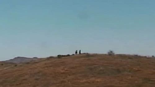 Bountiful Triumph Bild 1