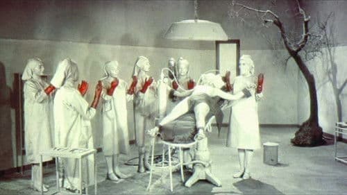 ...und vor Lust zu sterben Bild 7