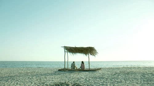 La estrategia del mero Bild 1