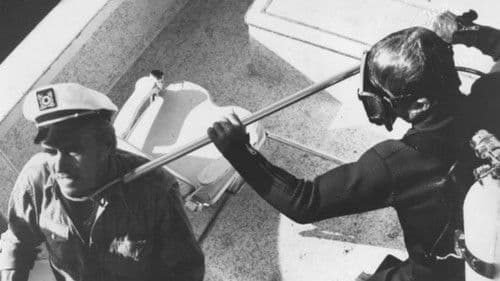 Mako, die Bestie Bild 3