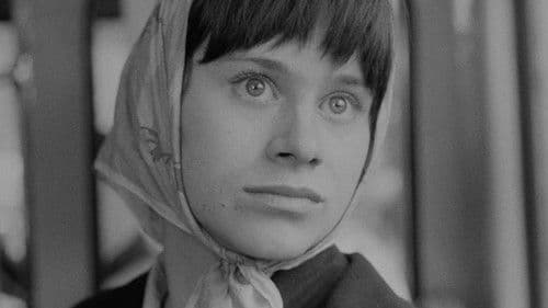 Bitterer Honig Bild 8