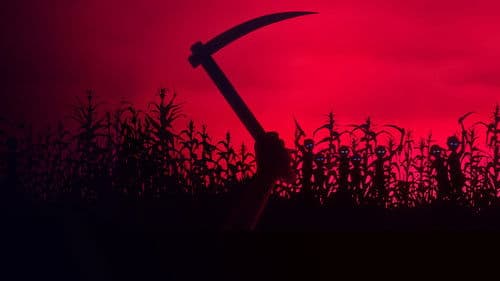 Kinder des Zorns Bild 6