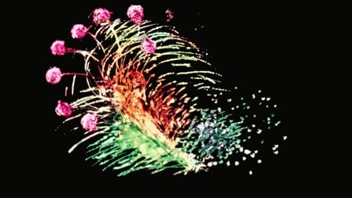 Blinkity Blank Bild 1