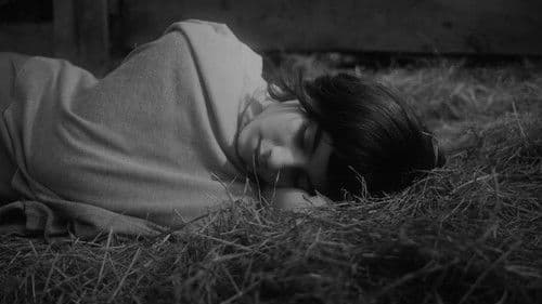 Cabra y Madre Bild 3