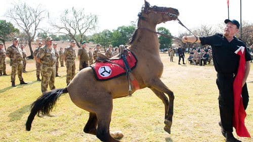 1994: The Bloody Miracle Bild 2