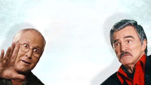 Not Another Not Another Movie Bild 2