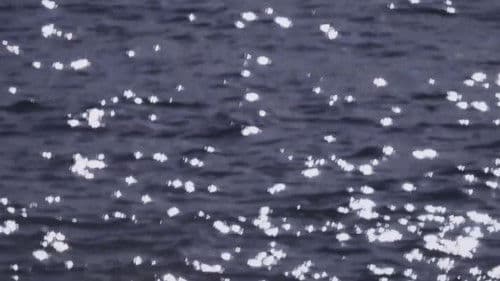 Mémoire de mer Bild 4