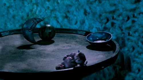 საზამთრო Bild 1