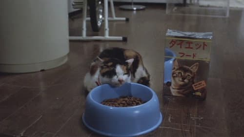 タイム・アバンチュール 絶頂5秒前 Bild 2
