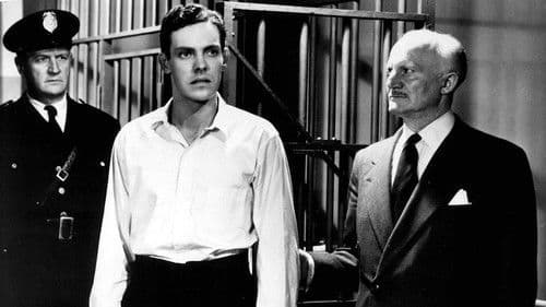 The Sun Sets at Dawn Bild 4