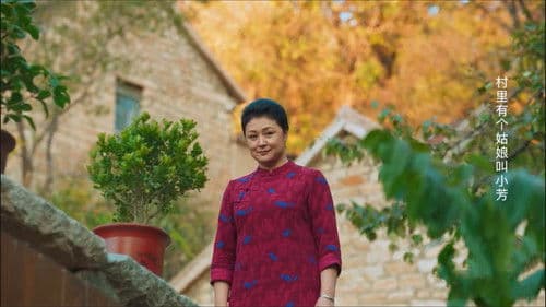 王庆典的春天 Bild 1