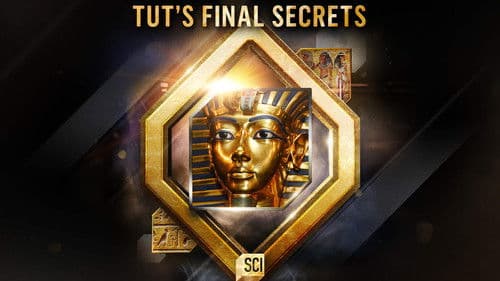 Tut's Final Secrets Bild 2