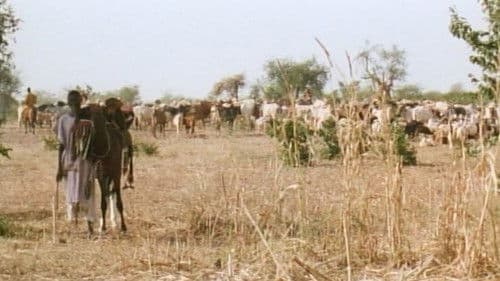 La colère des dieux Bild 1