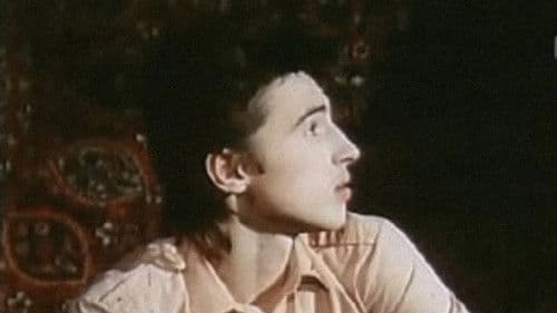 Провинциальная история Bild 1