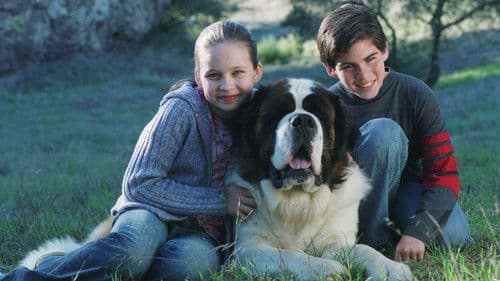 Beethoven auf Schatzsuche Bild 4