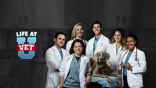 Life at Vet U Bild 2