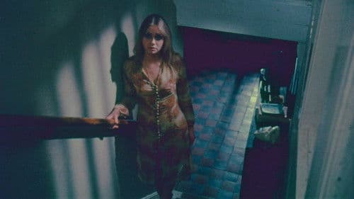 House on Strawhill Bild 4