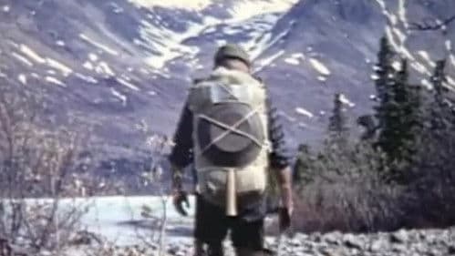 Alone in the Wilderness Bild 1