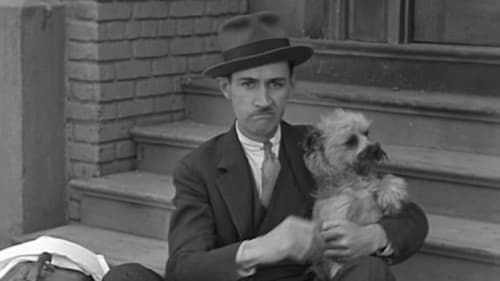 The Panic Is On Bild 1