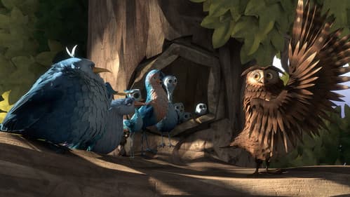 Sam O'Cool - Ein schräger Vogel hebt ab! Bild 8