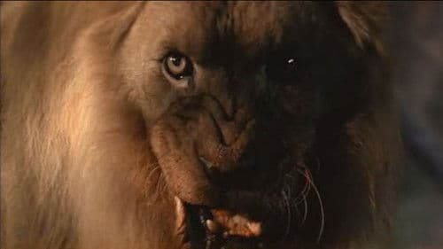 Der Geist und die Dunkelheit Bild 8