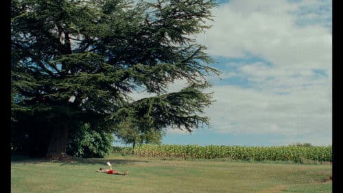 les grillons. Bild 6