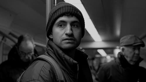 See It Say It Bild 2