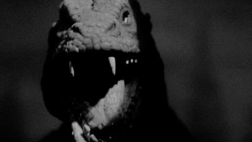 Panik in New York Bild 3