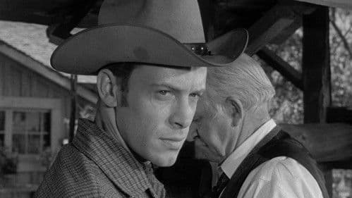 Der schwarze Mustang Bild 8