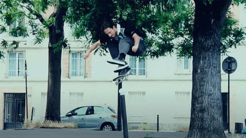 Rassvet - Blue Bild 3