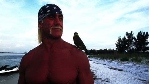 McCinsey's Island - Ein tierisches Duo Bild 1