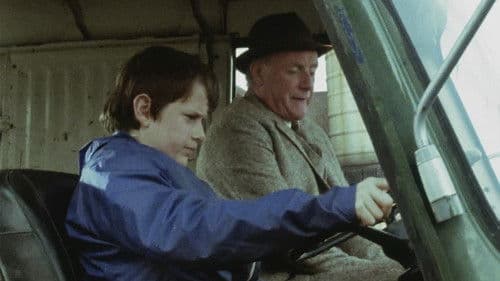 Flying Into the Wind Bild 2