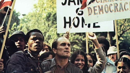 Wie ein Panther in der Nacht Bild 7