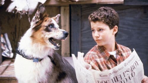 100 Deeds for Eddie McDowd Bild 2