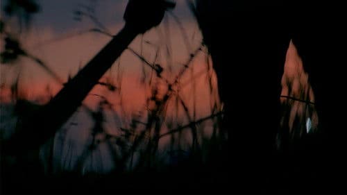 Las hostilidades Bild 3