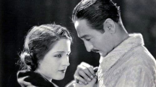 Broadway After Dark Bild 1