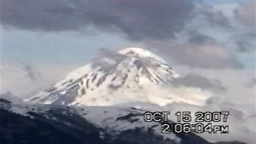 Puentes y Raíces Bild 2