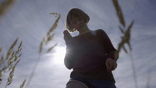 Das Sommerbuch Bild 2