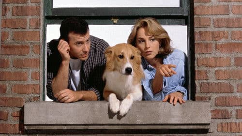 Verrückt nach dir Bild 2