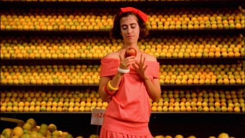 Fogo e Paixão Bild 1