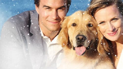 Noch eine tierische Bescherung Bild 3