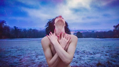 სიმღერა სახლის გარეშე Bild 1