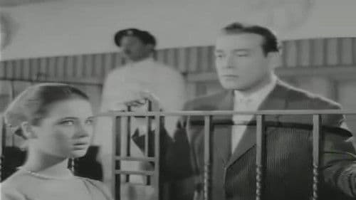 نصف عذراء Bild 6