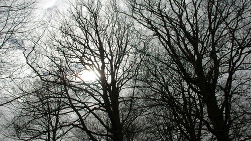 Tales from the Darkside Bild 5