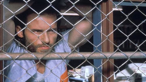 The Australian Job Bild 3