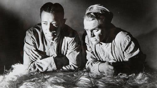 Todesangst bei jeder Dämmerung Bild 1