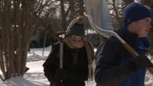 The Shovelers Bild 8