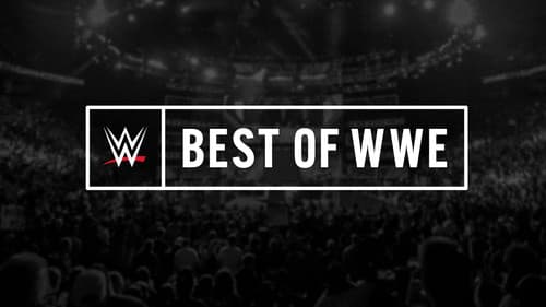 The Best of WWE Bild 1