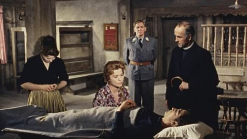 Der Meineidbauer Bild 1